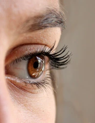 Sourcils semi-permanent  Bordeaux